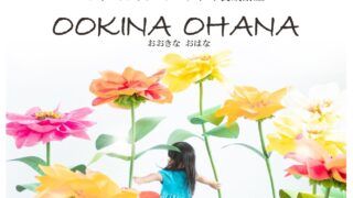 OOKINA OHANA講師認定講座が始まります